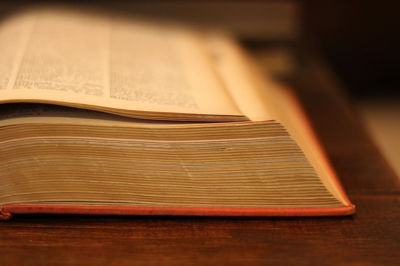 Rediscovering Frege - Insights into His Philosophy of Language